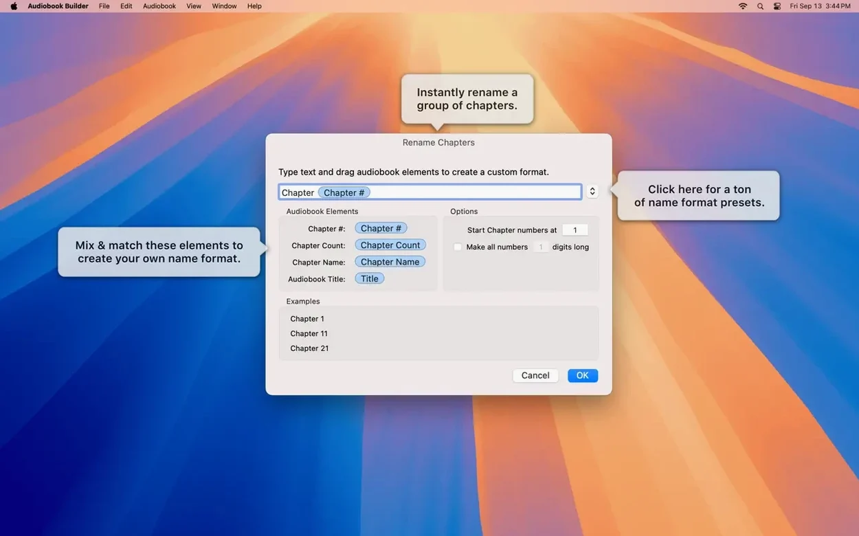 Audiobook Builder gallery image 5 Audiobook Builder view #5