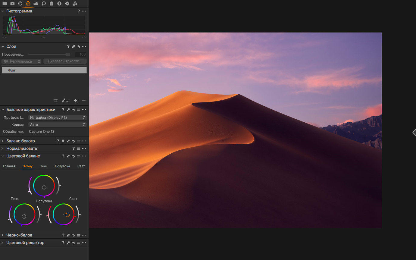 Capture One gallery image 2 Capture One view #2