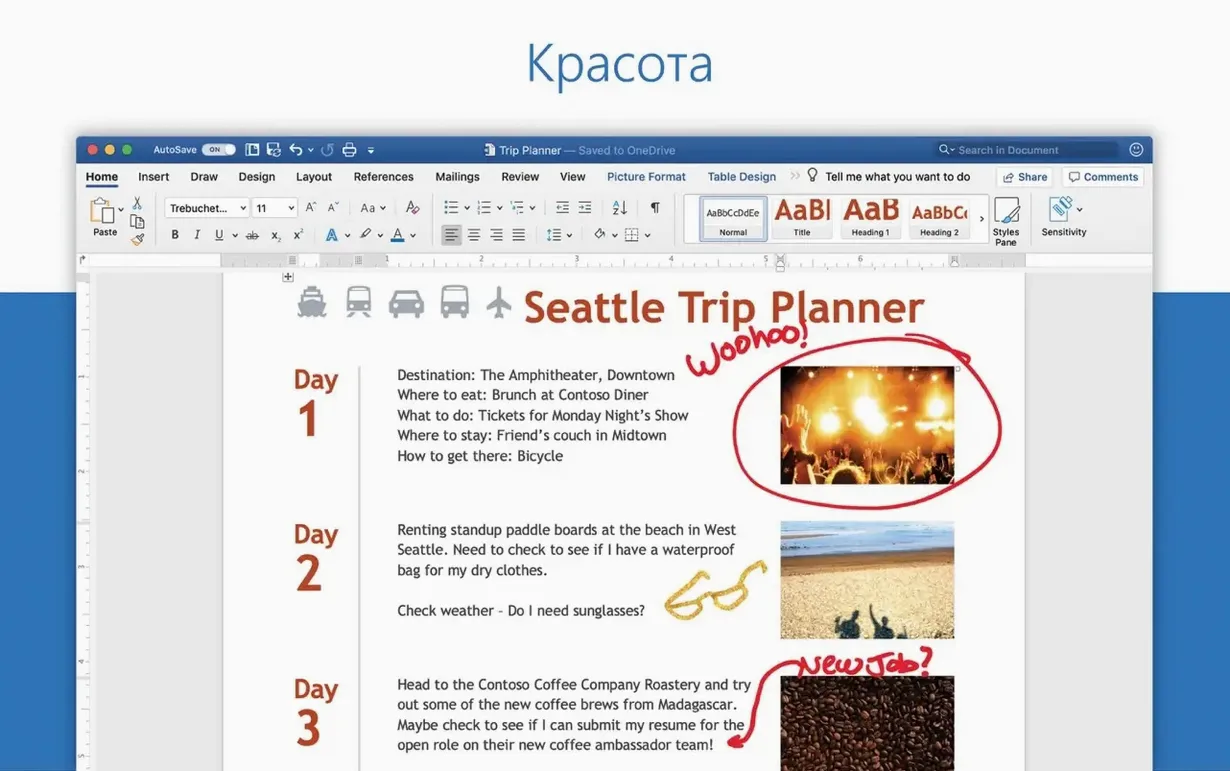 Microsoft Excel gallery image 1 excel mac torrent in macOS