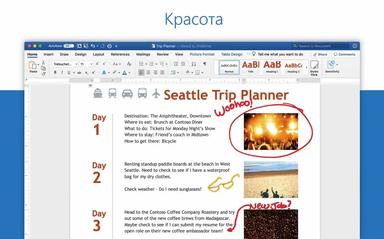 Microsoft Word gallery image 1 word torrent: main window