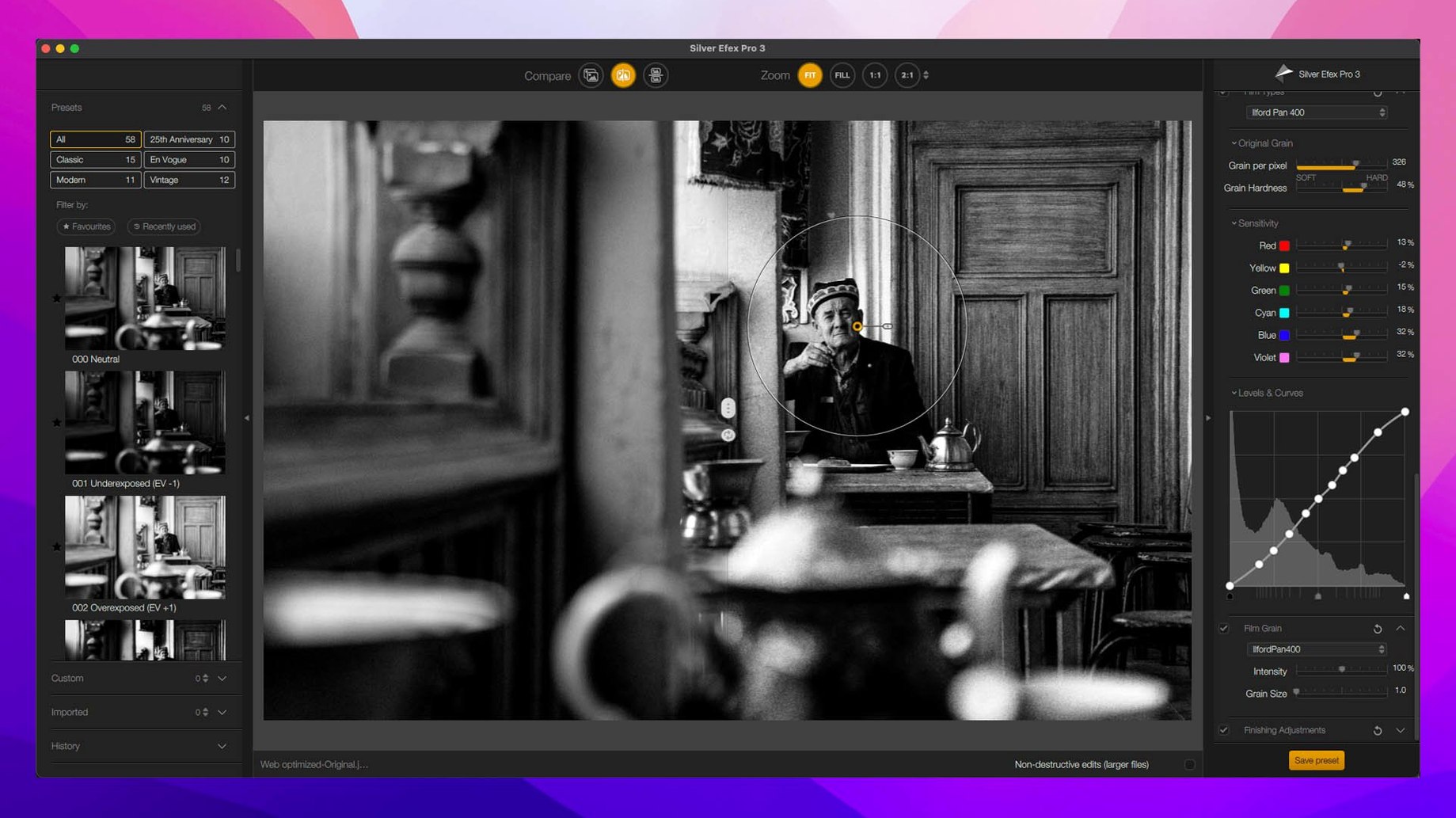 Nik Collection 9.0 — view 2 Nik Collection interface, view 2