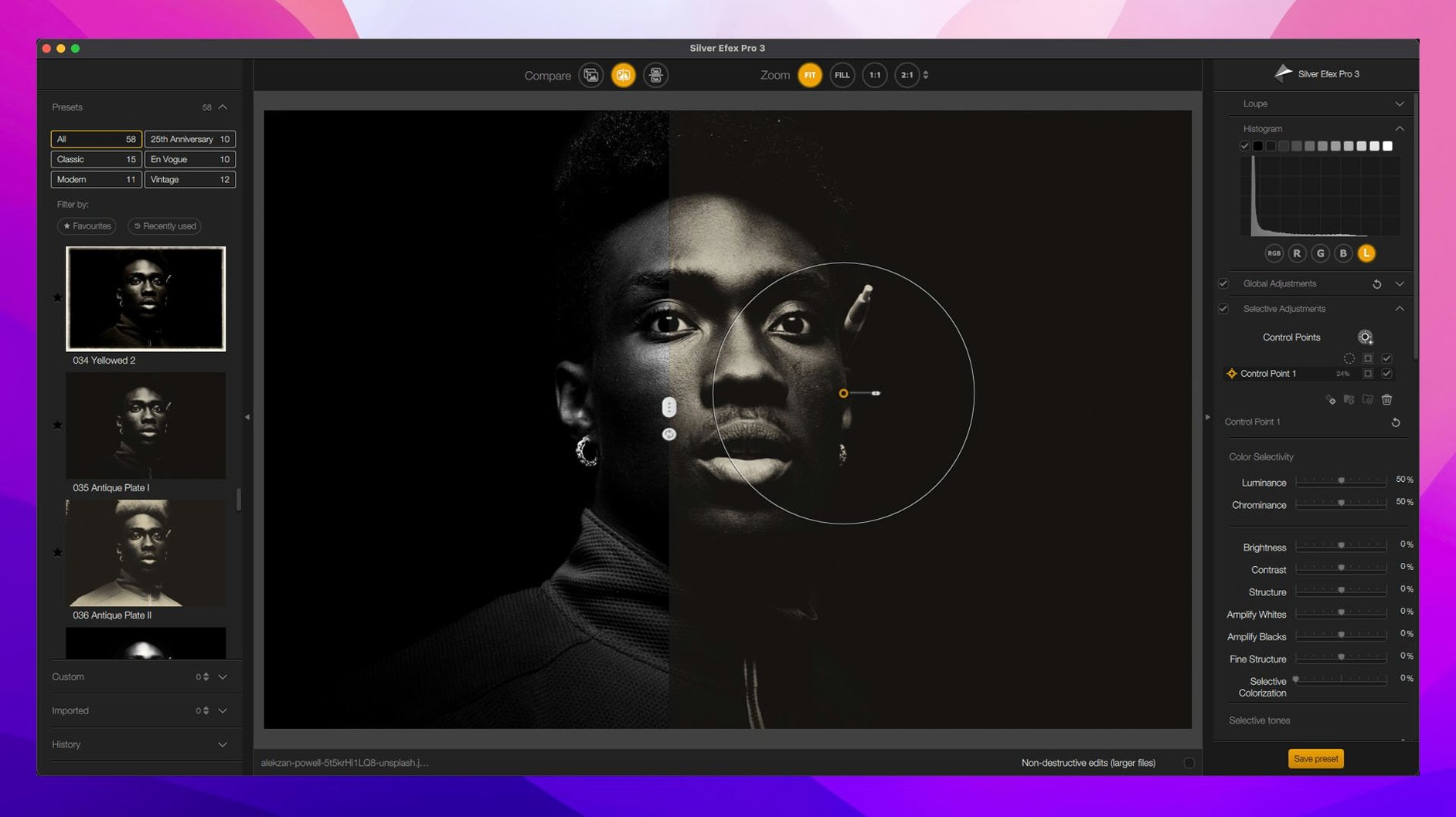 Nik Collection 9.0 — view 3 Nik Collection interface, view 3