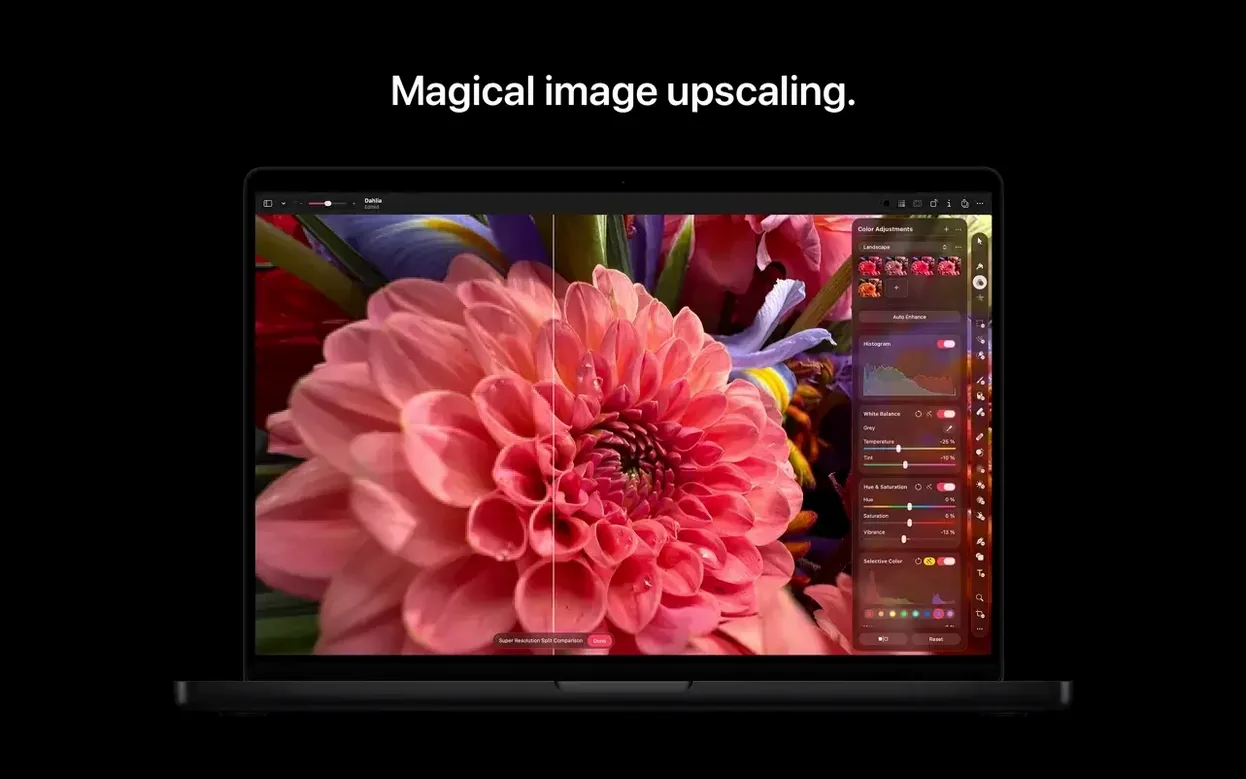 Pixelmator Pro gallery image 7 Pixelmator Pro view #7