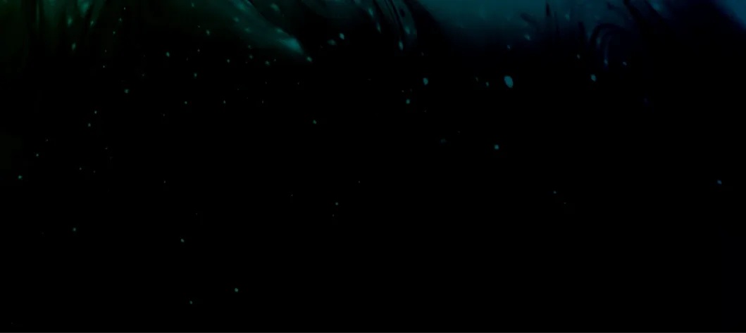 Slate Digital Submerge Finder icon