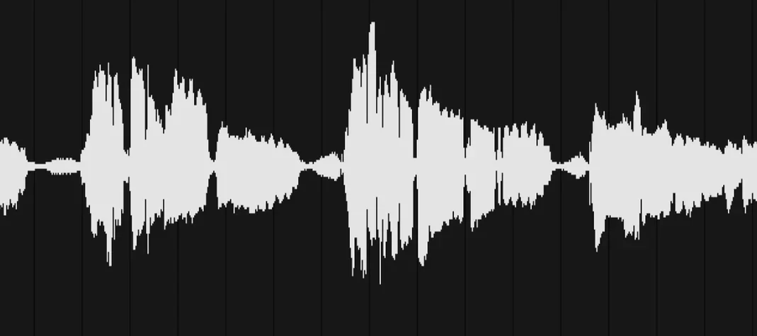 VocalNet Finder icon